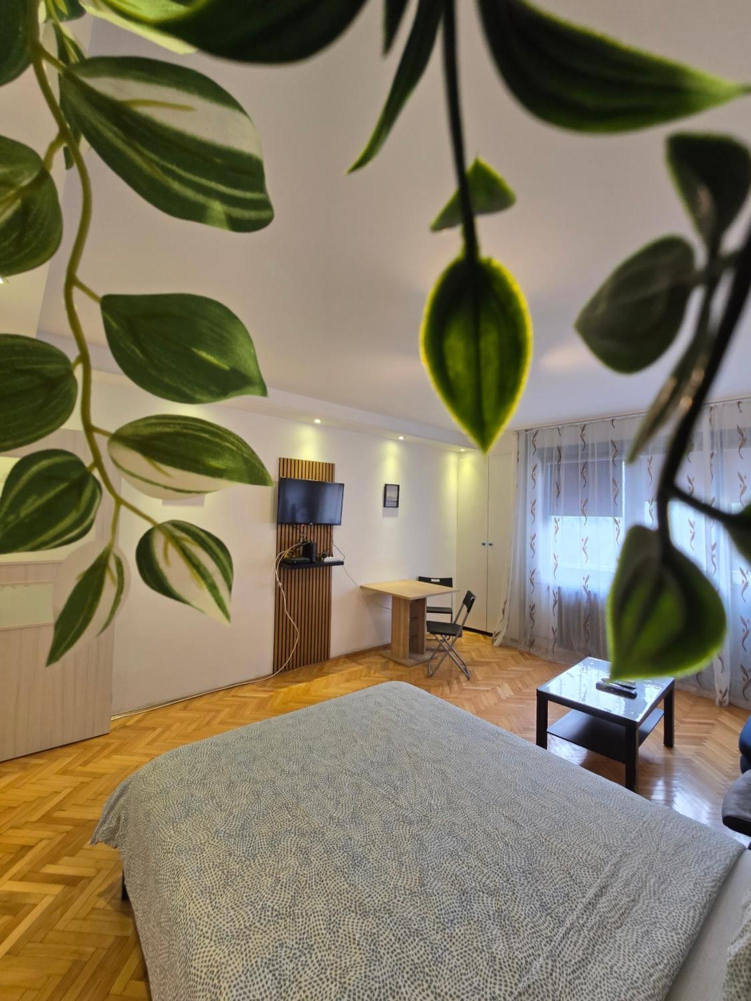 Azzurro Studio Apartment Belgrád Kültér fotó