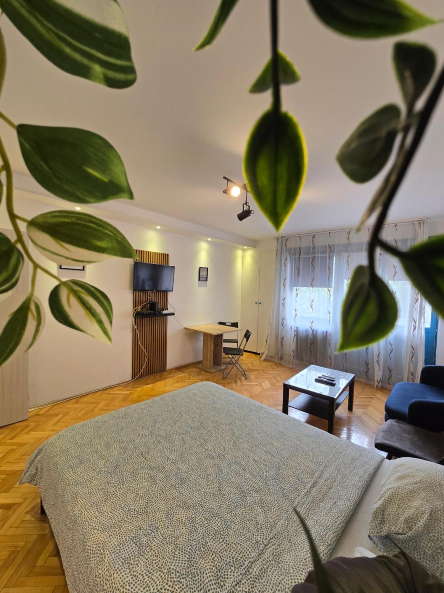 Azzurro Studio Apartment Belgrád Kültér fotó